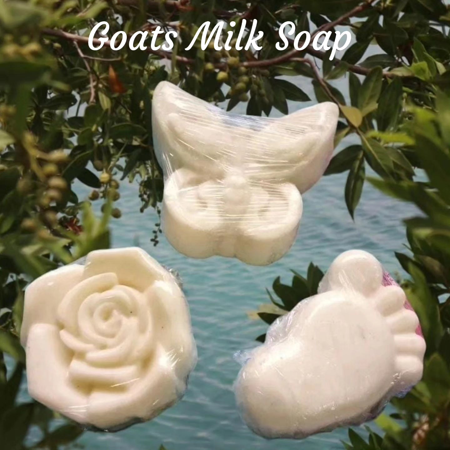 Special Goat's Milk Soap Bar