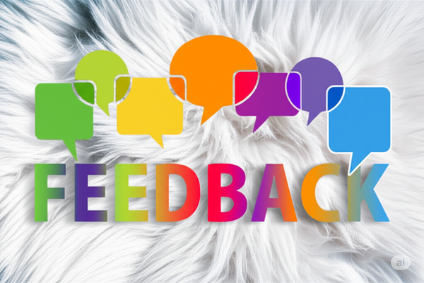 General Feedbacks